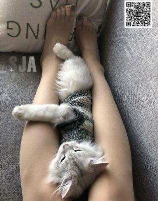 潘金莲之前世今生